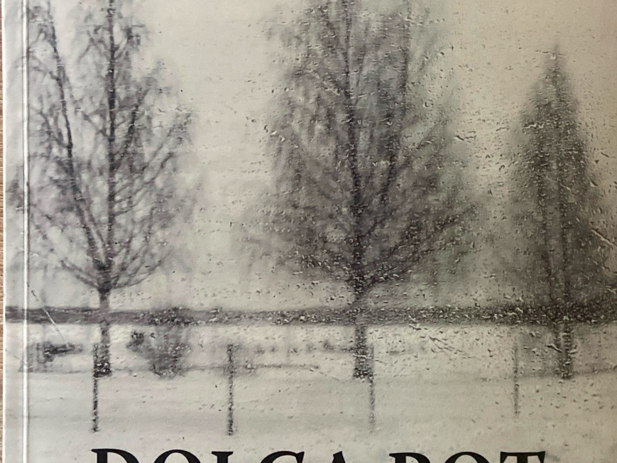 Dolga pot do&nbsp;miru