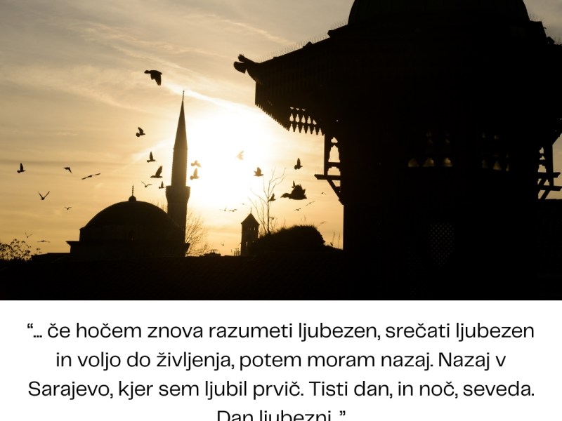 Dan ljubezni (šesti&nbsp;del)