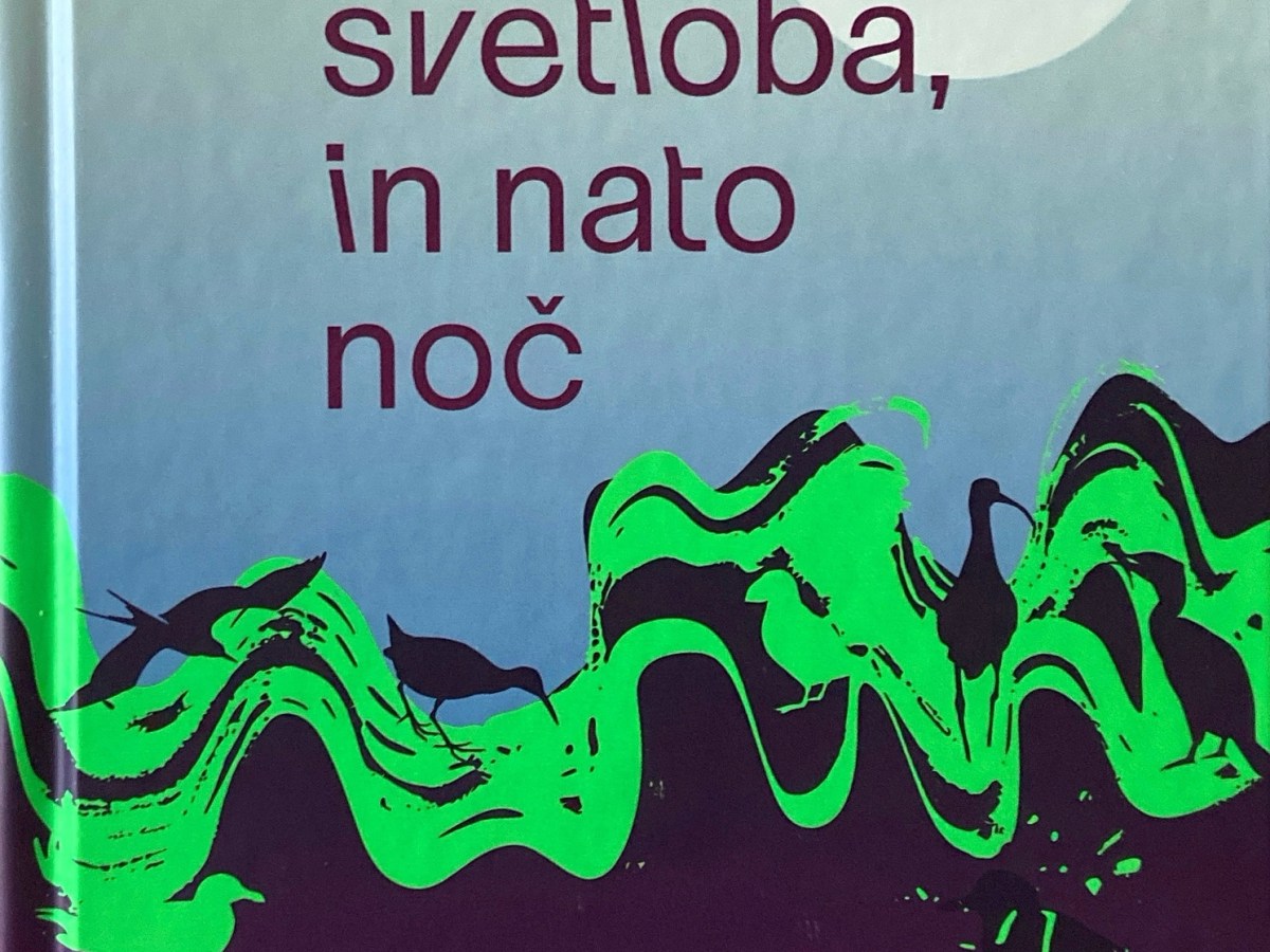 Poletna svetloba, in nato&nbsp;noč