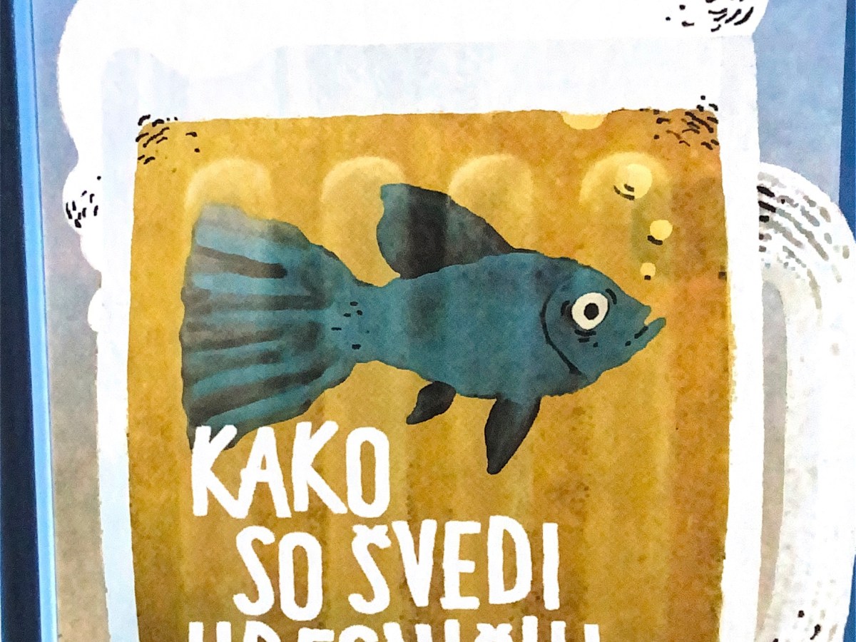Kako so Švedi uresničili&nbsp;sanje
